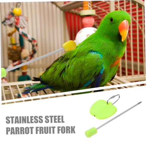 MOTHNUR Edelstahl Papageien Obstgabel Futterhalter Robust Vielseitig Für Kleine Und Große Vögel Futtersuche Zubehör Vogelkäfig Zubehör MOTHNUR Edelstahl Papageien Obstgabel Futterhalter Robust Vielseitig Für Kleine Und Große Vögel Futtersuche Zubehör Vogelkäfig Zubehör von MOTHNUR