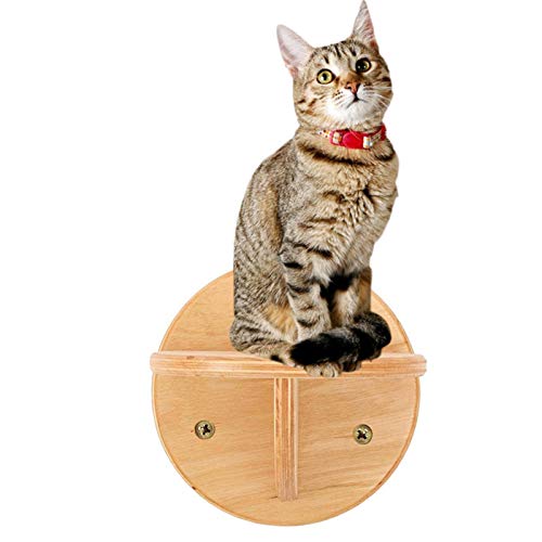 Wandmontiertes Katzenregal aus Holz, Klettertreppen, Katzenstange, Kletter, Spielzentren, Haustierspielmöbel, Kätzchen, Katzen, Klammern, Sprungplattform von MOTT 50