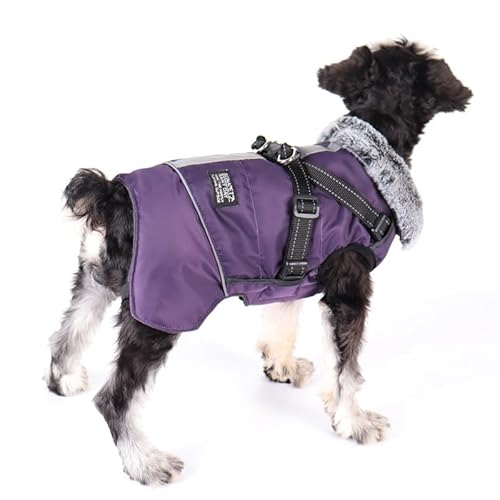 Hunde Wintermäntel,Hundeweste mit Geschirr,Hund Warme Jacke,Hundejacken für den Winter Winddicht Wasserdicht,Reflektoren Fleece Winterjackefür Kleine Mittlere Große Hunde(Lila,L) von MOTTDAM