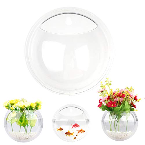 2 Stück Wand-Pflanzen-Terrarium, klares Acryl, G-Schüssel, Aquarium, transparenter Blumentopf für Sukkulenten, Luftpflanzen, Luftpflanzen, Blumenvase für Luftpflanzen, Sukkulenten, Wand M von MOTUZP