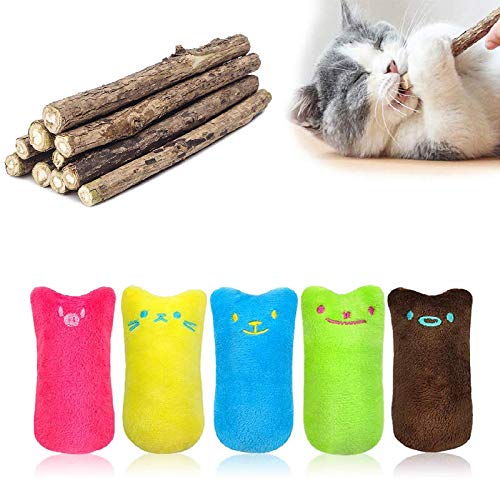 MOULLY 5 Stück Katzenminze-Spielzeug+10 Stück Katzenminze Sticks, Katzenminze-Spielzeug, Oreiller, Katzenminze, Kauspielzeug, kreatives Kissen, Katzenminze, Zähne, Schleifen, Kauspielzeug von MOULLY