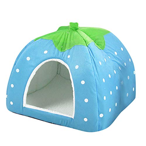 Hundehütte Haus Heimtierbedarf Hundehütte Strawberry Pet Wave Katzenhütte Point Pet Bed/Mat Hunde-Auto-Kostüm von MOVAWAKY