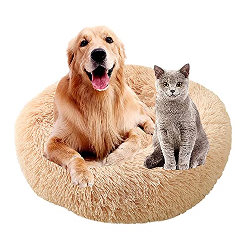 MOZTBH Hundesofa Katzenbett Donut，Rund Hundebett Flauschig Katzenbett Waschbar Weiches Plüsch Donut Haustierbett für Katzen Hunde，Warme Weiche Bequeme Hundesofa-Champagne||Ø20in(Ø50cm) von MOZTBH