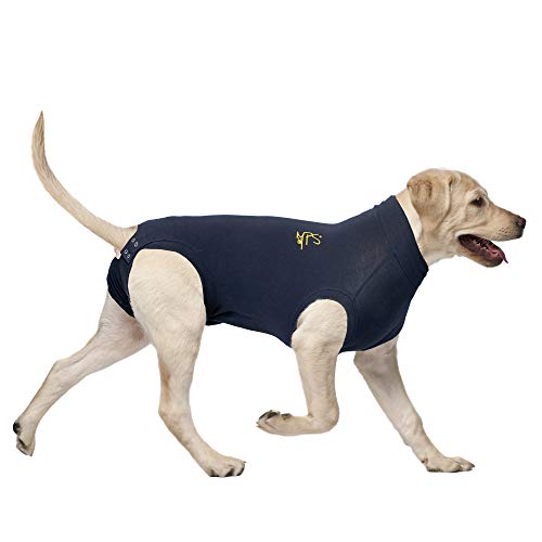 MPS Medical Pet Shirt, Blau, für mittelgroße+ Hunde von MPS