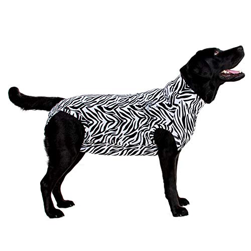 MPS Medical Pet Shirt Hund, Zebra Print, M von MPS