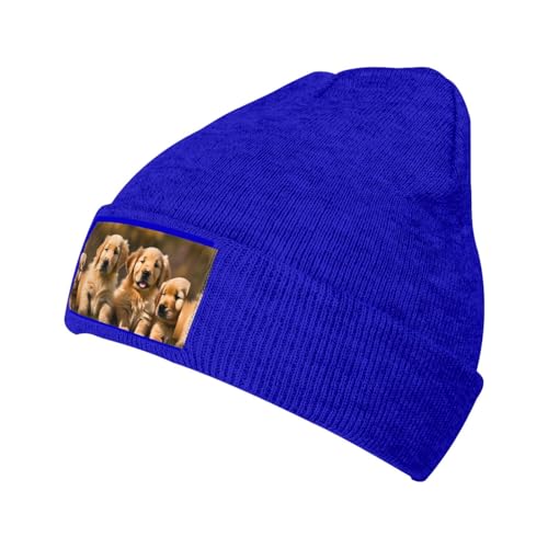 MQGMZ Golden Retriever Strickmütze für Erwachsene, elastische Krempenlose Kappe, Doudou-Mütze, Blau, Einheitsgröße von MQGMZ