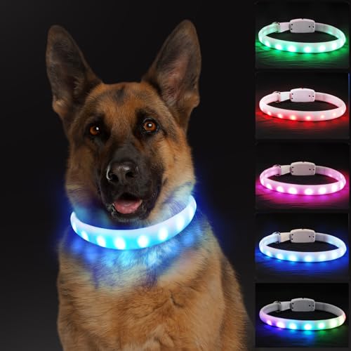 MQVXT Hundehalsband Leuchtend,Leuchthalsband Hund Aufladbar,LED Hundehalsband Leuchtend wasserdicht Längenverstellbar USB mit 11 Leuchtmodi für Kleine Mittlere Große Hunde (25.5 inch) von MQVXT