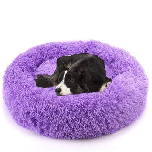 MQXDNFDC Flauschiges extra großes Hundebett, beruhigendes Plüsch-Donut-Haustier- und Katzenbett, waschbar, rundes Hundekissen für große und mittelgroße Hunde, 120 cm, Weiß (Lila, 90 cm) von MQXDNFDC