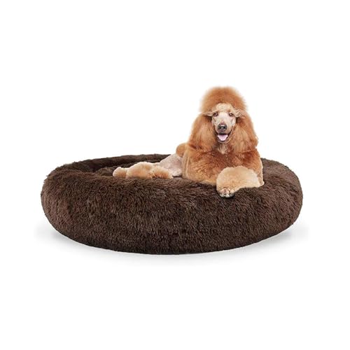 MQXDNFDC Rundes Haustierbett, beruhigendes Bett, Plüschnest, warm, weiches Kissen, Donut-Kuschelkissen, für Katzen, Hunde, Welpen, bequem zum Schlafen, Winter, waschbar, 110 cm, Braun (Braun, 80 cm) MQXDNFDC Rundes Haustierbett, beruhigendes Bett, Plüschnest, warm, weiches Kissen, Donut-Kuschelkissen, für Katzen, Hunde, Welpen, bequem zum Schlafen, Winter, waschbar, 110 cm, Braun (Braun, 80 cm) von MQXDNFDC