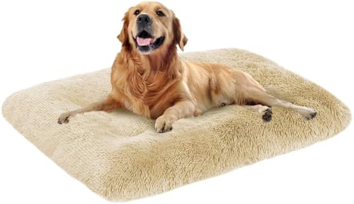 MQXDNFDC Weiches großes Hundebett, 50 x 35 x 6 cm, warmes Plüsch-Hundekissen, abnehmbar, waschbar, rutschfeste Hundebox-Matratze, beruhigendes Hundebett (Beige, 70 x 50 x 8 cm) von MQXDNFDC