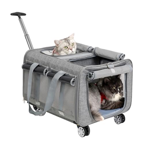 MR.BLACAT Katzen transportbox Trolley für 2 Katzen - katzentransportbox mit Rollen für 2 Katzen - Katzen Transporttasche mit Rollen für 2 Tiere -53L x 44B x 33H cm von MR.BLACAT