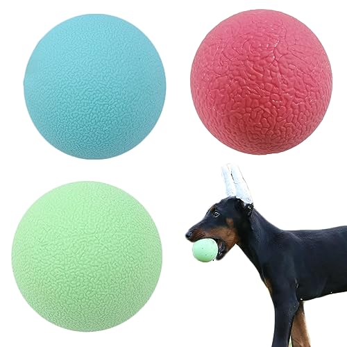 MRMIAN 3 Stück Rubber Dog Toy Ball, Unbreakable Dog Ball, Floating Dog Toy, Gummibälle für Hunde, Kleine Tennisbälle für Hunde, Geeignet für Große Und Kleine Haustiere (Orange, Hellgrün, Hellblau) von MRMIAN