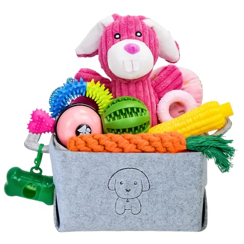 MRSOHRET Kauspielzeug für Welpen, Kauspielzeug für Hunde, mit Seilspielzeug, Hundezahnbürste, Leckerlibälle, Plüschspielzeug und Quietschspielzeug für kleine und mittelgroße Hunde, 20 Stück von MRSOHRET