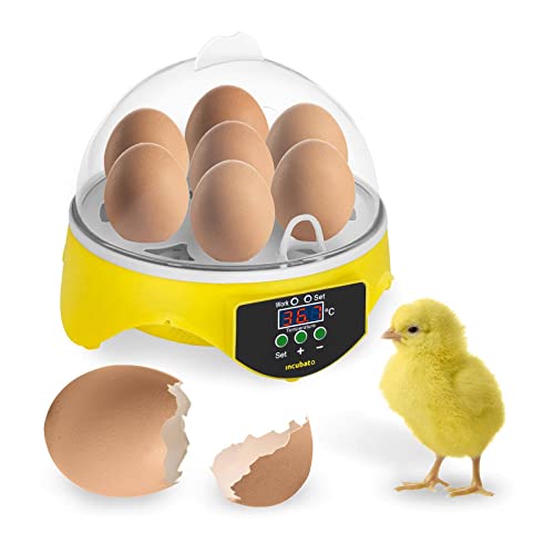 Incubato Brutapparat Inkubator Brutmaschine IN-7DDI (für 7 Eier, inklusive Schierlampe, 20-50 °C, intelligente Temperaturregelung, kosteneffizient Dank 20 W Motor) von incubato