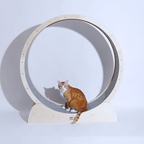 Katzenlaufrad Katzen -Laufband Ruhiges Katzenübungsrad für Innenkatzen, Katzenlauf -Rad -Gewichtsverlust, Tragenresistente Katzenradübungen Klein/mittel/großes Haustier (Size : 90CM(35 3/8")) von MTSON