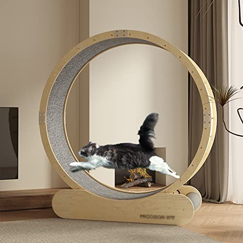 MTSON Katzenlaufrad Katzen -Laufband Innenübungen, Niedriggeräusches Katzen -Runnriesenrad -Gewichtsverlust, Gewichtsverlust, Kätzchenspielzeug Spinnrad mit Kratzerbrett, Size : 10 von MTSON