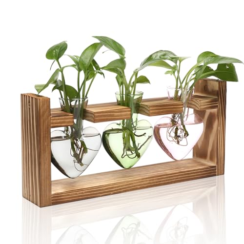 MTsigns Pflanzen-Terrarium, Anzuchtstationen, Hydrokultur, Haus- und Gartendekoration, Geschenk für Frauen, mit Holzständer, herzförmig, farbige Glasvase von MTsigns