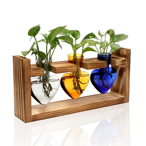 Pflanzen-Terrarium, Anzuchtstationen, Hydrokultur, Heim-/Gartendekoration, Geschenk für Frauen, mit Holzständer, herzförmig, farbige Glasvase von MTsigns