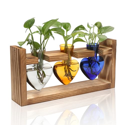 Pflanzen-Terrarium, Anzuchtstationen, Hydrokultur, Heim-/Gartendekoration, Geschenk für Frauen, mit Holzständer, herzförmig, farbige Glasvase von MTsigns