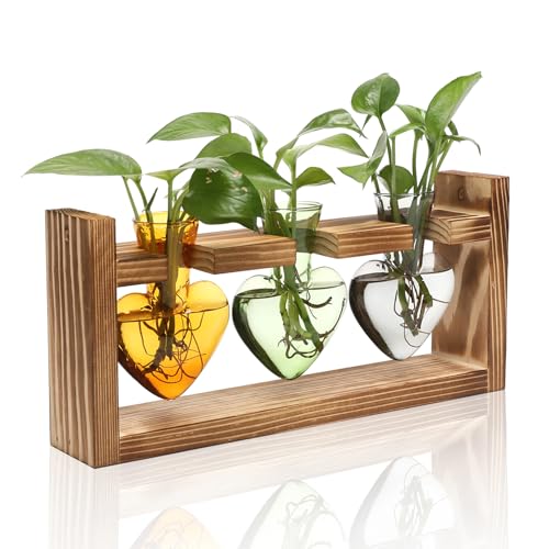 Pflanzen-Terrarium, Anzuchtstationen, Hydrokultur, Heim-/Gartendekoration, Geschenk für Frauen, mit Holzständer, herzförmig, farbige Glasvase von MTsigns