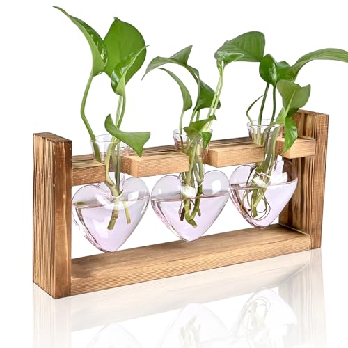 Pflanzenterrarium mit Holzständer, herzförmige farbige Glasvase, Pflanzenvermehrungsstationen, Geschenk für Pflanzenliebhaber, Hydrokultur, Hausgarten, Dekoration von MTsigns