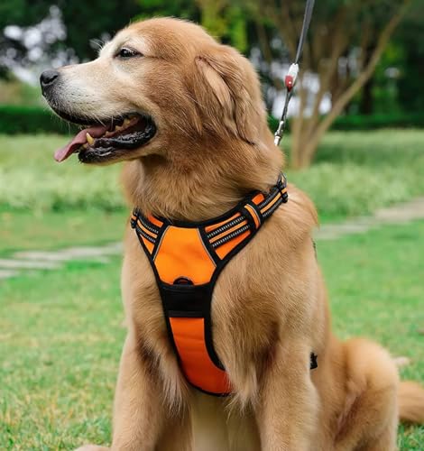 Multicolor Hundegeschirr (Größe XL, Orange), kein Ziehen, mit 2 Leinenclips, verstellbar, weich gepolstert, reflektierend, kein Würgen, Oxford-Weste mit leicht zu kontrollierendem Griff für sehr große von MULTICOLOR