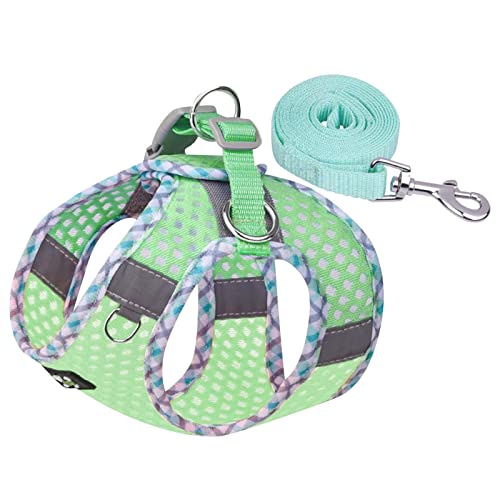 Hundegeschirr Kleine Hunde Geschirr Hund Weich Gepolstert Hunde Geschirr Reflektierend, Air-Mesh Brustgeschirr für Welpen Kleine Hunde, Haustiere, Katzen, Verstellbare Atmungsaktive (Green, M) von MUMEOMU