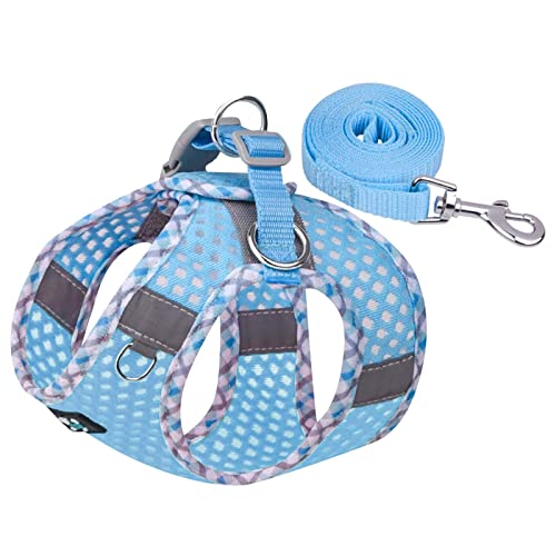 Hundegeschirr Kleine Hunde Geschirr Hund Weich Gepolstert Hunde Geschirr Reflektierend, Air-Mesh Brustgeschirr für Welpen Kleine Hunde, Haustiere, Katzen, Verstellbare Atmungsaktive (Sky Blue, M) von MUMEOMU