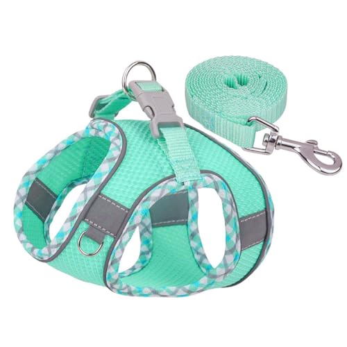 Hundegeschirr Kleine Hunde mit Leine, Step-in Geschirr Air Mesh Reflektierend Atmungsaktiv Brustgeschirr Sicherheitsgeschirr Katzengeschirr Welpengeschirr Katzengeschirr für Kleine (Mint Green, S) von MUMEOMU