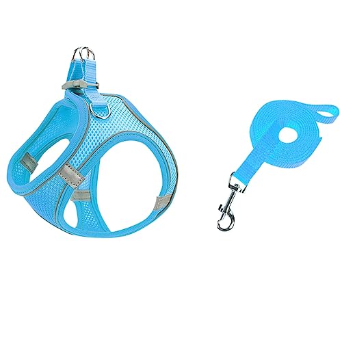 Hundegeschirr mit Leine Set, Step-in Weich Gepolstert Geschirr Reflektierend, Weich Gepolstert Air-Mesh Atmungsaktiv Brustgeschirr, Welpengeschirr für Kleine Hunde, Haustiere, Welpen, Katzen (B, 3XS) von MUMEOMU