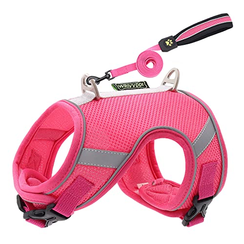 Reflektierendes Hundegeschirr mit Leine für Kleine Mittele Hunde Katzen Weiches Atmungsaktives Welpengeschirr Mesh, Brustgeschirr Doppelt Gepolsterte Weste mit Verstellbarem Brust (Hot Pink, XS) von MUMEOMU