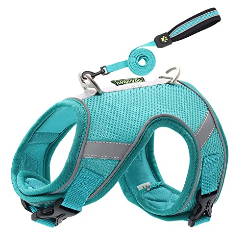 Reflektierendes Hundegeschirr mit Leine für Kleine Mittele Hunde Katzen Weiches Atmungsaktives Welpengeschirr Mesh, Brustgeschirr Doppelt Gepolsterte Weste mit Verstellbarem Brust (Light blue, XS) von MUMEOMU