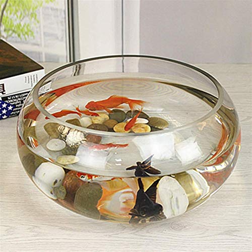 MUMUCW Aquarium Aquarium Transparentglas Schreibtisch Creative Desktop Aquarium Kit von MUMUCW