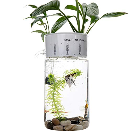 MUMUCW Kreative Aquarium kleine selbstreinigende ökologische Büro Desktop Mini Glas Lazy Aquarium 2L 360 ° Aquarium mit Power Filter von MUMUCW