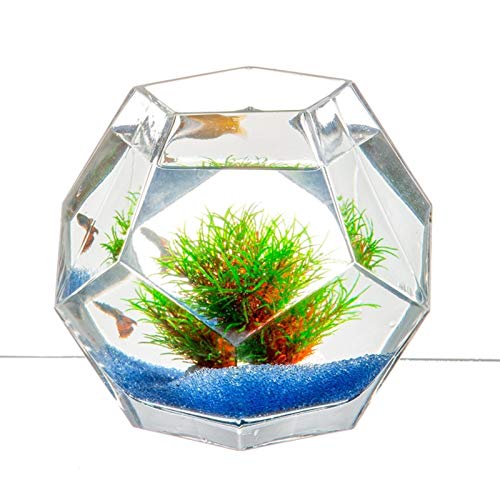 MUMUCW Mini Aquarium Kreative Persönlichkeit Glas Aquarium Desktop Wohnzimmer Kleine Aquarium Desktop Aquarium Kit von MUMUCW