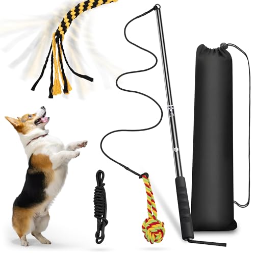 Dog Flirt Pole, Retractable Teasing Stick with Lure, Interactive Dog Toy for Outdoor Training Play Exercise, Flirt Stick for Small Medium Dogs von MUMUQ