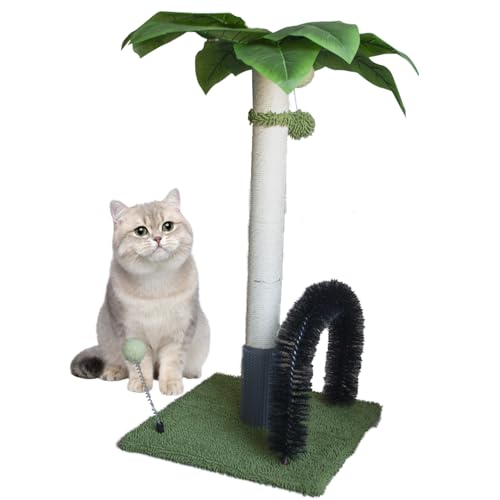 MUYG Katzenkratzbaum, 75 cm hoch, Palme, natürlicher Sisal, mit interaktiven Bällen und Selbstpflegebürste für Indoor-Katzen, niedliches Kätzchen, Erwachsene, Katzen (grün) von MUYG