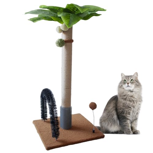 MUYG Kratzbaum mit Palme, 75 cm hoch, für Innenkatzen, Natursisal, mit interaktiven Bällen und Selbstpflegebürste für Kätzchen, Erwachsene, Katzen (Kaffee) von MUYG