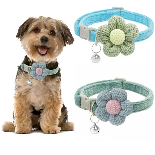 Kleines Hundehalsband, Hundehalsband für Mädchen mit Blume, Welpenhalsband mit Glöckchen, verstellbares kleines Hundehalsband von MUZIEBA