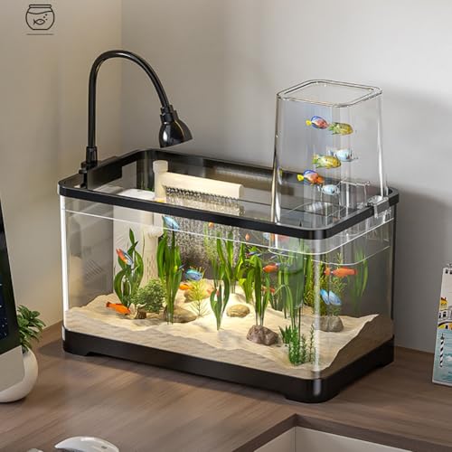 Aquarium-Starter-Kits, Panoramaaquarium Mit Filter Für Fische Und Wasserpflanzen von MYBSXKEOZ