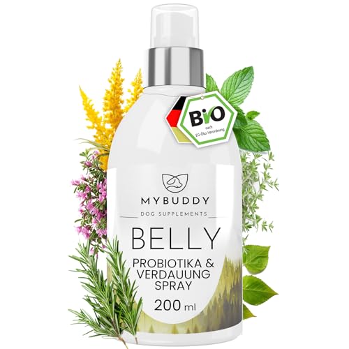 MYBUDDY Belly Probiotika & Verdauung Bio Spray für Hunde: Unterstützt Bauch & Immunsystem, fördert Magen Darm Gesundheit reduziert Graß & Kotfressen, Sodbrennen (200 ml, Belly Spray) von MYBUDDY