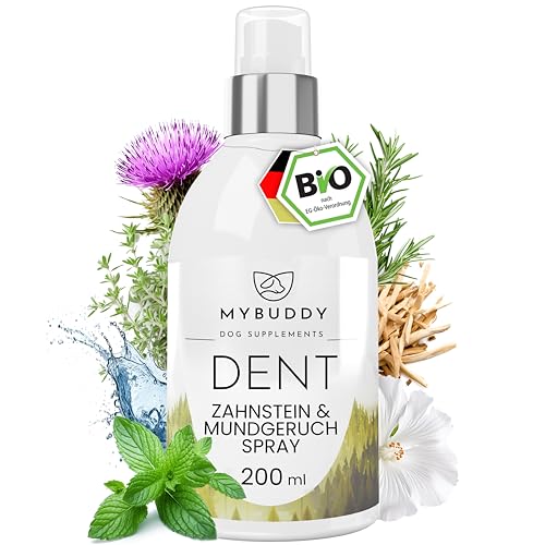 MYBUDDY DENT Bio Dentalspray für Hunde & Katzen Zahnpflege I 100% natürliches Bio-Zahnpflegespray vorbeugend & effektiv gegen Zahnstein & Mundgeruch I Zahnspray von MYBUDDY