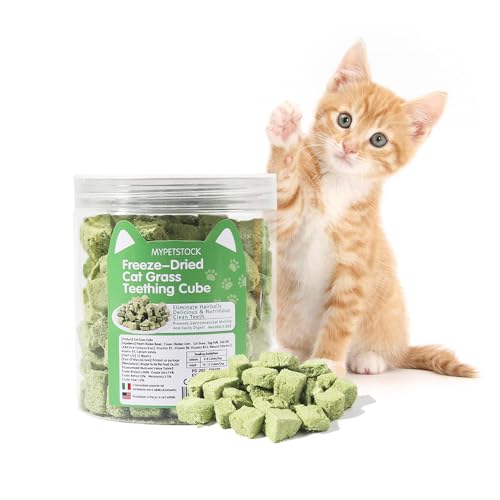 MYPETSTOCK® Katzengraswürfel – Dose 80 g – reduziert Stress, verbessert die Verdauung, reinigt die Zähne, entfernt Haarballen – Catnip, Cat Teeth Cleaning (80 g, Cube Catgrass) von MYPETSTOCK