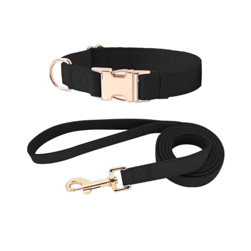 MYPETSTOCK® Set aus Halsband und Leine für Hunde aus Leder – verstellbares Halsband für Welpen, kleine und mittelgroße Hunde (schwarz) L von MYPETSTOCK