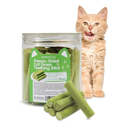 MYPETSTOCK: Natürliche Snacks für Katzen mit gefriergetrocknetem Katzengras – Leckere und ideale Zahnreinigungssnacks – Catnip, Cat Teeth Cleaning with Cat Grass: Natural Dental Care von MYPETSTOCK