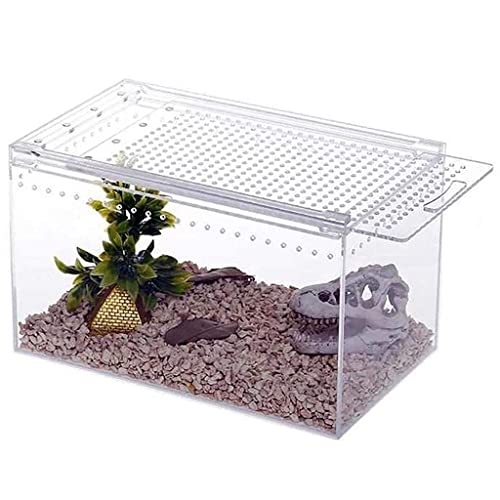 Streuschlange, Schildkröte, Eidechse, Reptilien-Terrarium, transparentes Reptilien-Terrarium, Reptilien-Terrarium, Aquarium-Terrarium von MaGiLL