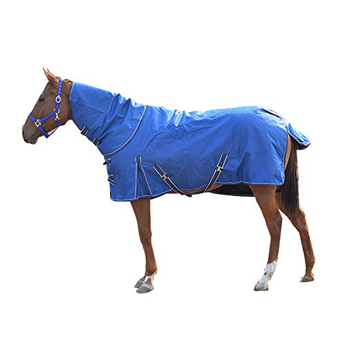 MaJu Stabiler Teppich 200 G/M² Mittelschwerer Reiter Im Freien, Blau(Size:125cm) von MaJu