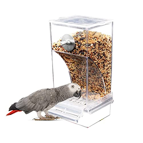 Futterspender für Wildvögel, robust und genießen Sie die Vögel, die sich aus der Nähe füttern, ideal für Samenmischungen von Maciun