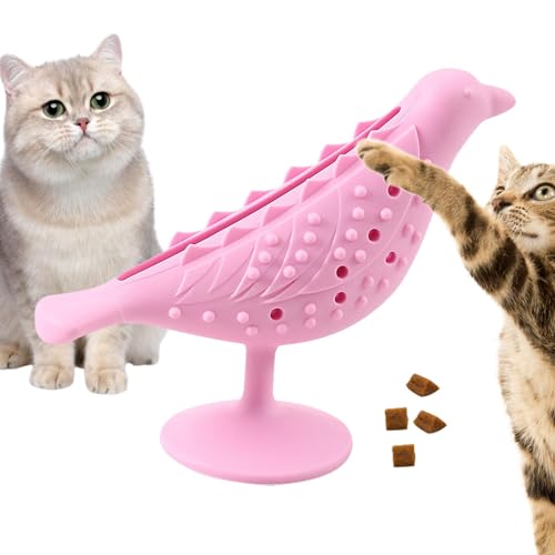 Maciun Kätzchen Zahnspielzeug - Vogelform Katze Zahnbürste Katzenminze Spielzeug - Katze Beißspielzeug Gesicht Kratzer, Saugnapf Futterspender für Stressabbau von Maciun