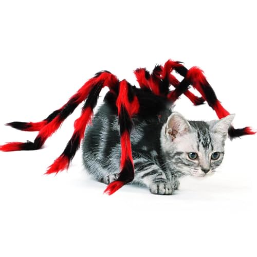 Maciun Spinnenkostüm für Haustiere, kreative Cosplay-Bekleidung, Hundebekleidung, Katzen-Halloween-Kostüm für kleine Hunde und Katzen, Festival-Dekoration von Maciun